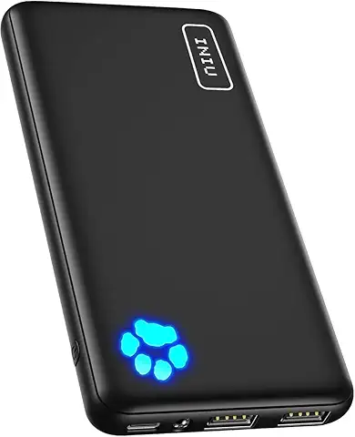 INIU Batterie